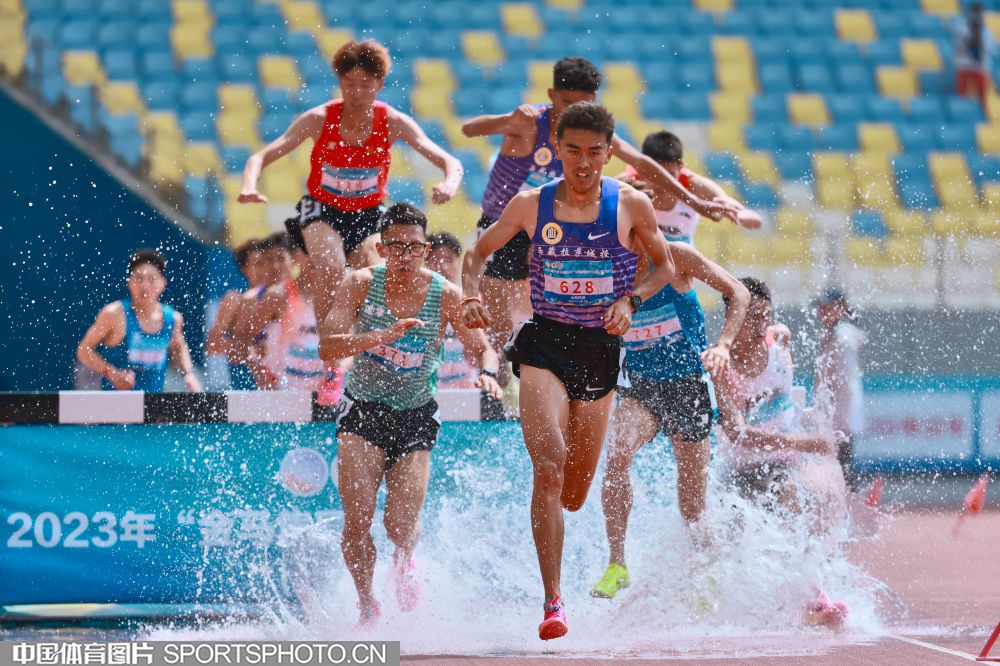 似乎在无声 似乎在无声