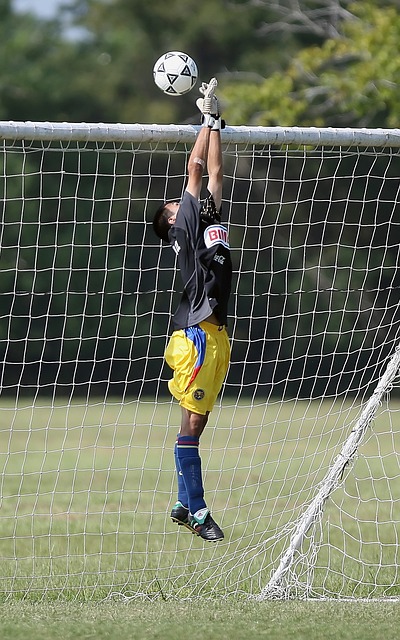 主场作战的 主场作战的