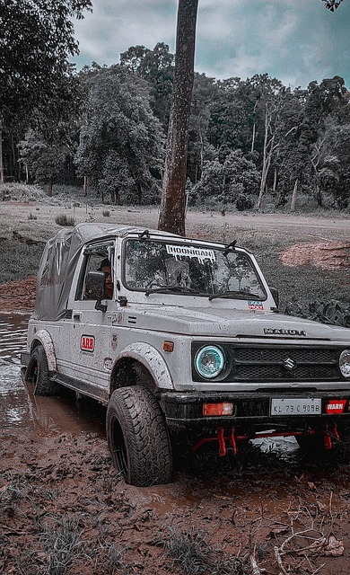 新赛季的表 新赛季的表