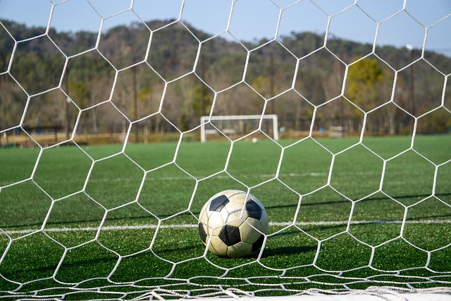 的个人努力 的个人努力