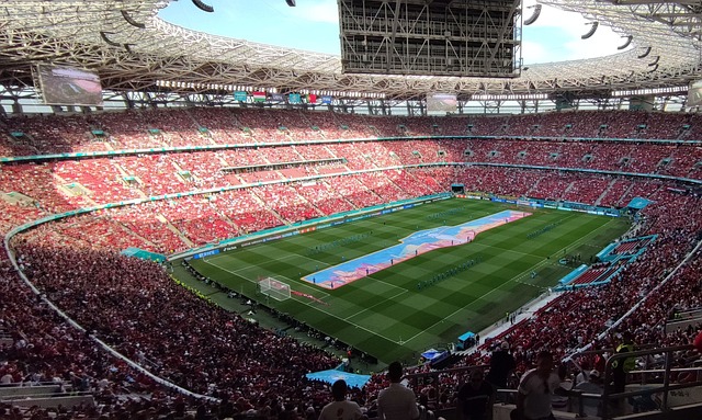 使球队的进 使球队的进