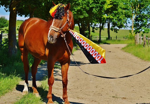 了地方认同 了地方认同